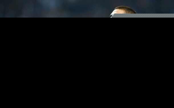  AC米兰德比战险胜国际米兰稳固积分榜次席  